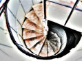 LA VIDA EN ESPIRAL