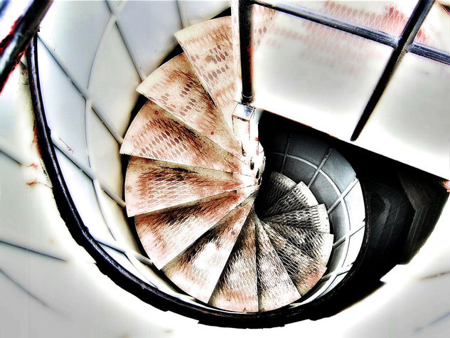 LA VIDA EN ESPIRAL 