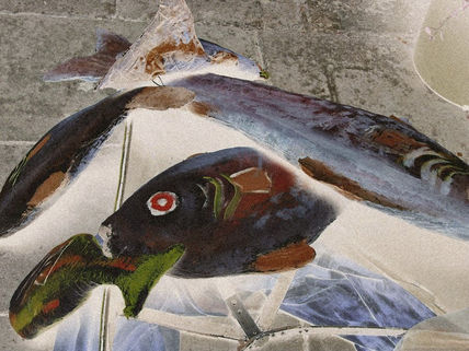 Peces de fiesta