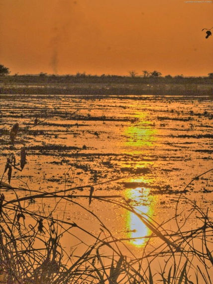 Atardecer desde un...