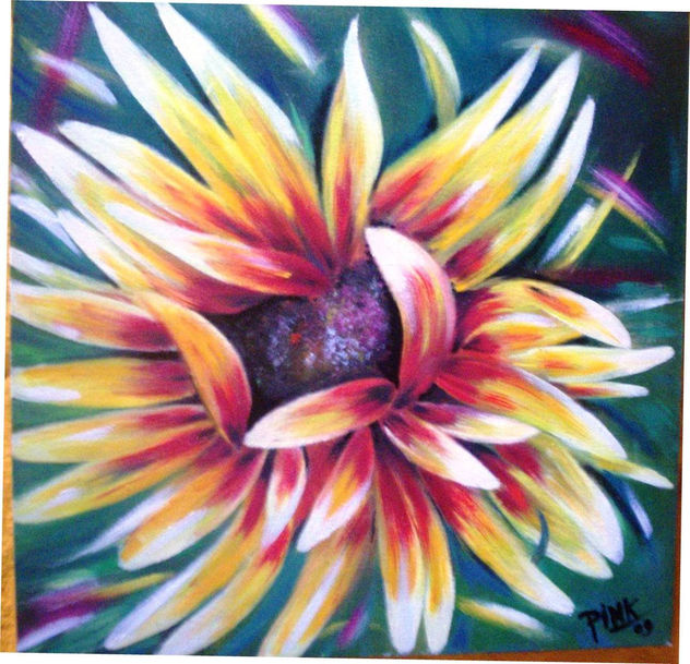CALENDULA