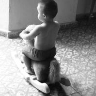 obra