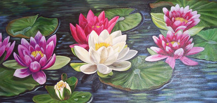 Nenufares