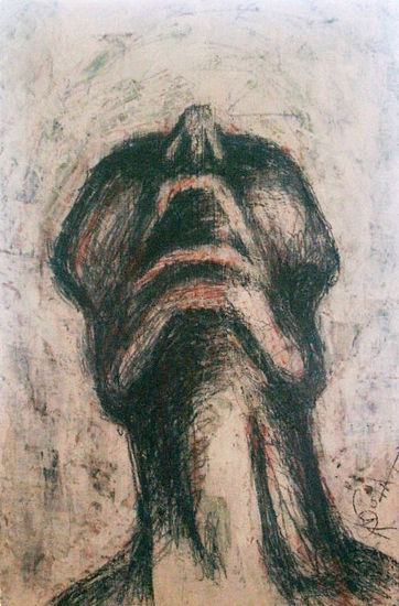 "grito ciego" Media Mixta