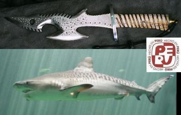 el tiburon Tigre-tiger shark