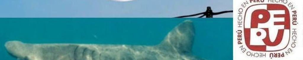 Imagen de portada