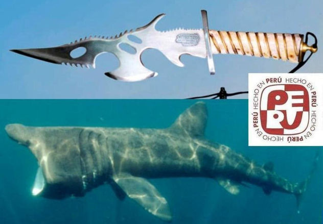 el tiburon peregrino-Basking shark
