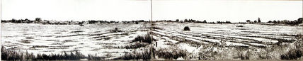 Paisaje seco x 2 -...