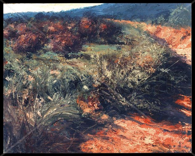 Avellanos (Caldes de Montbui)