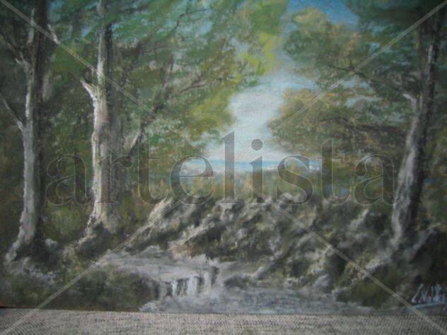 arroyo en el bosque