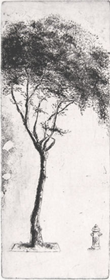 Árbol urbano y salvavidas - 2004 Etching Process