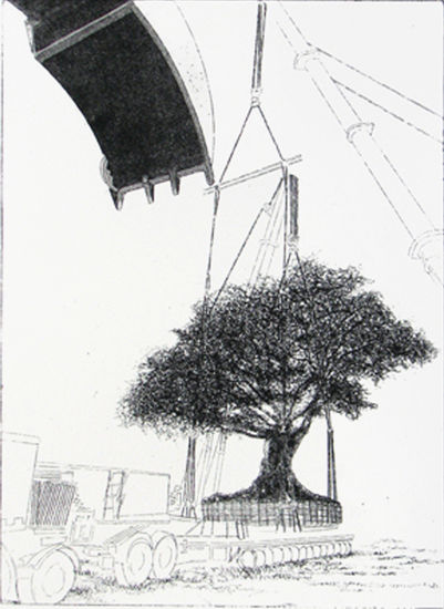 Árbol urbano II - 2008 Etching Process