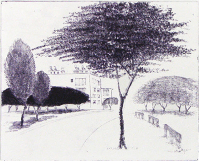 Árboles urbanos I - 2002 Etching Process