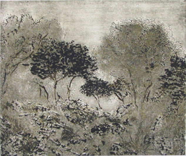 Bosque II - 2007 Aquatint