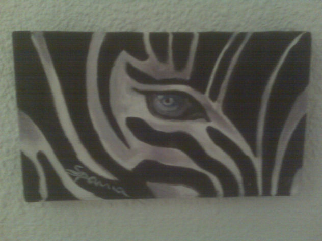 Mirada de Cebra