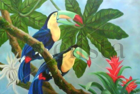 tucanes 