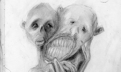 dibujo