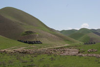 Tierra femenina