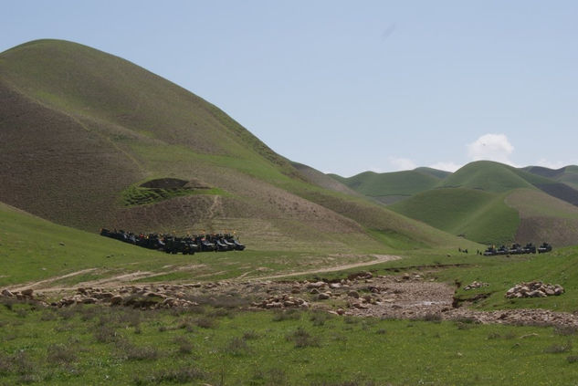 Tierra femenina 