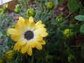 DSC00026