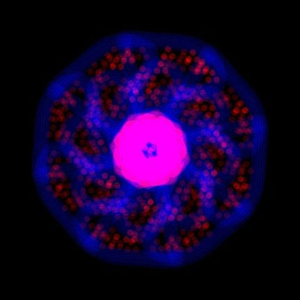 Mandala del sueño