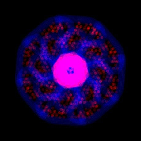 Mandala del sueño