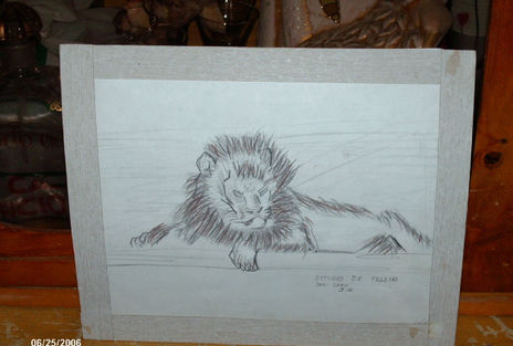Estudio de Felino