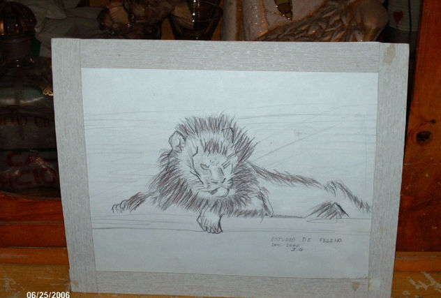 Estudio de Felino