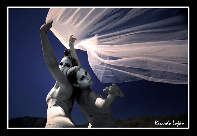 sin titulo