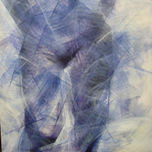 2009 thumbnail 2
