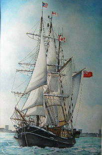 Velero Canadiense