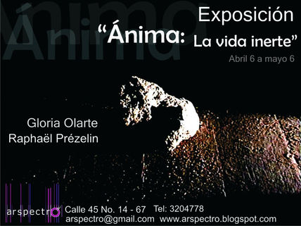 Ánima: La vida inerte