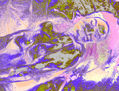 nudo11