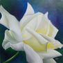 flor 19