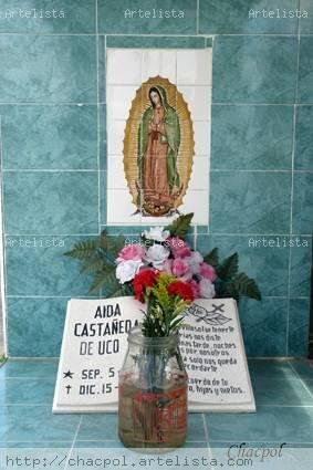 Guadalupe 245 Other Themes Color (Digital)