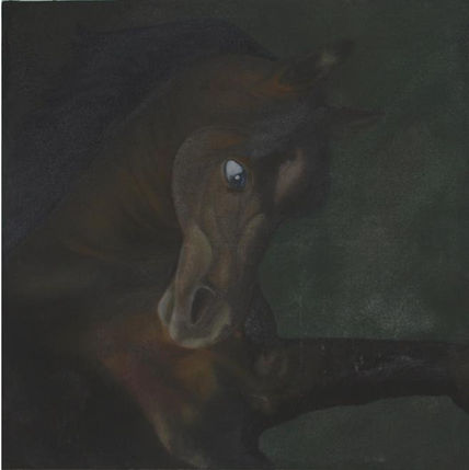 Caballo