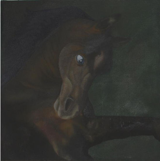 CABALLO Oil Canvas Animals