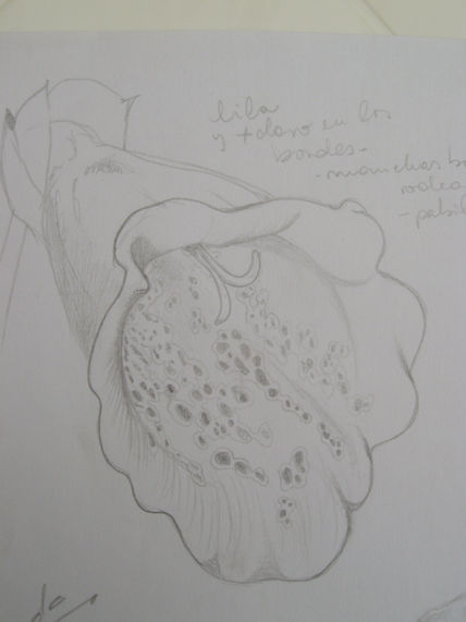 Flor - boceto