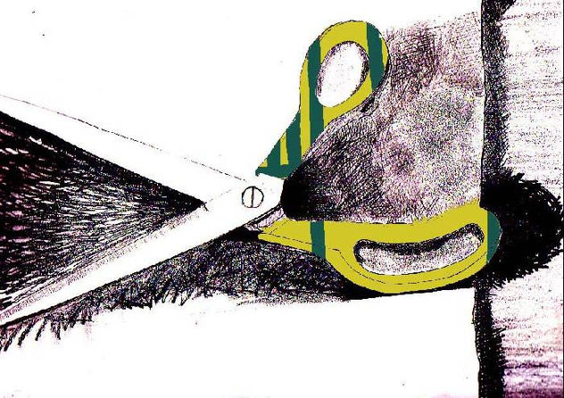 tijeras