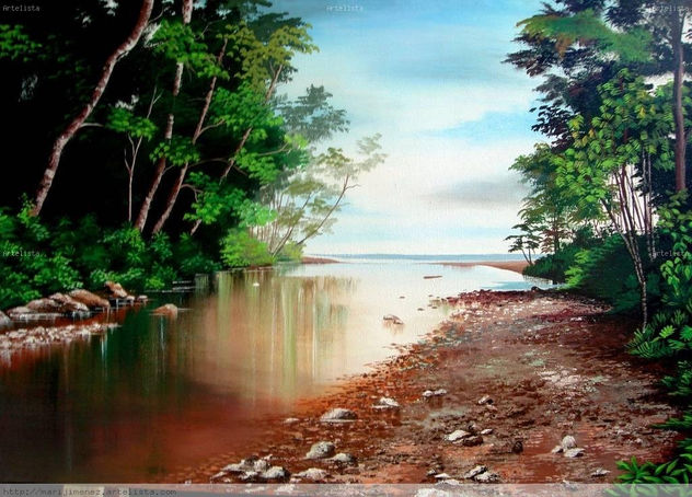 ESTERO EN PLAYA HERMOSA