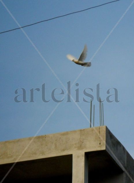 Vuelo libre
