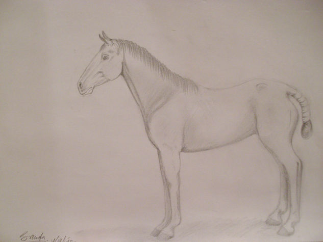 Polo argentino Pencil