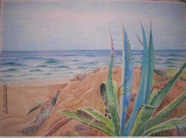 Dunas Pastel Paper Landscaping