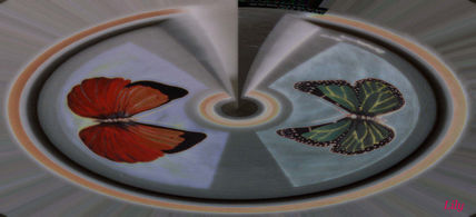 Duo de mariposas