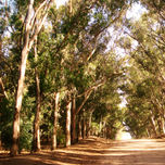 PAISAJE thumbnail 2