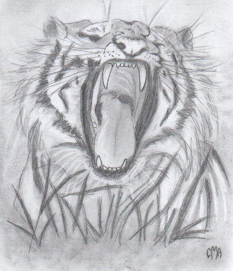 Tigre Charcoal