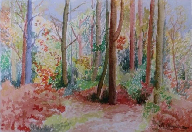 Bosque Acuarela Papel Paisaje