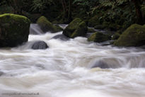 Piedras en el rio 5