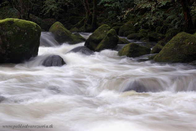 PIEDRAS EN EL RIO 5 