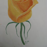 Flores thumbnail 2